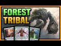 Forest tribal with new flourishing bloomkin  arc.ruids charm  pioneer mtg gameplay 