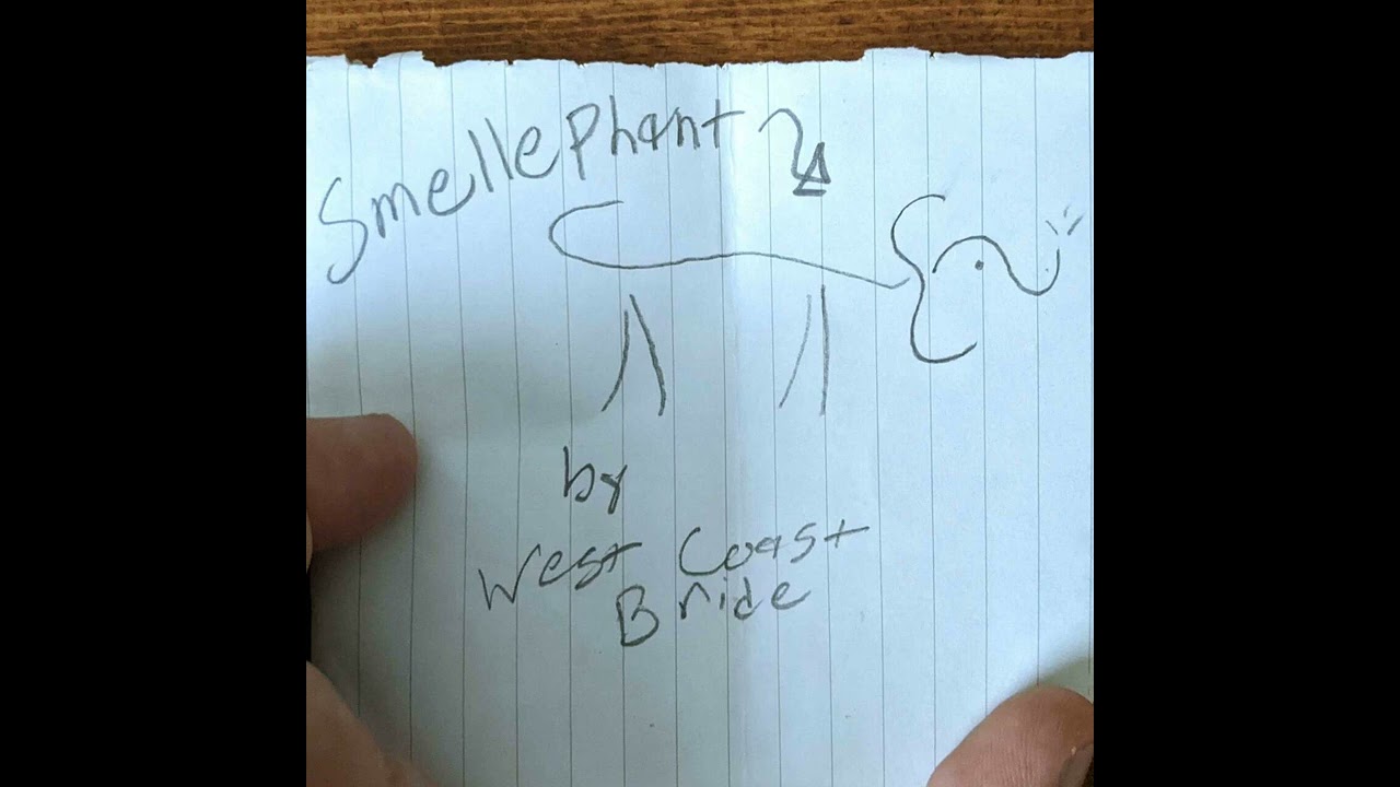 sunflower_seeds - west coast bride