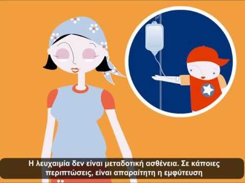 ΜΥΕΛΟΣ ΤΩΝ ΟΣΤΩΝ:  το εργοστάσιο της ζωής