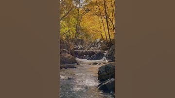 {كَلّا إنَّ الْإنسانَ لَيَطْغى}| محمد صديق المنشاوي | سورة العلق | مقام البيات | #المنشاوي #المصحف