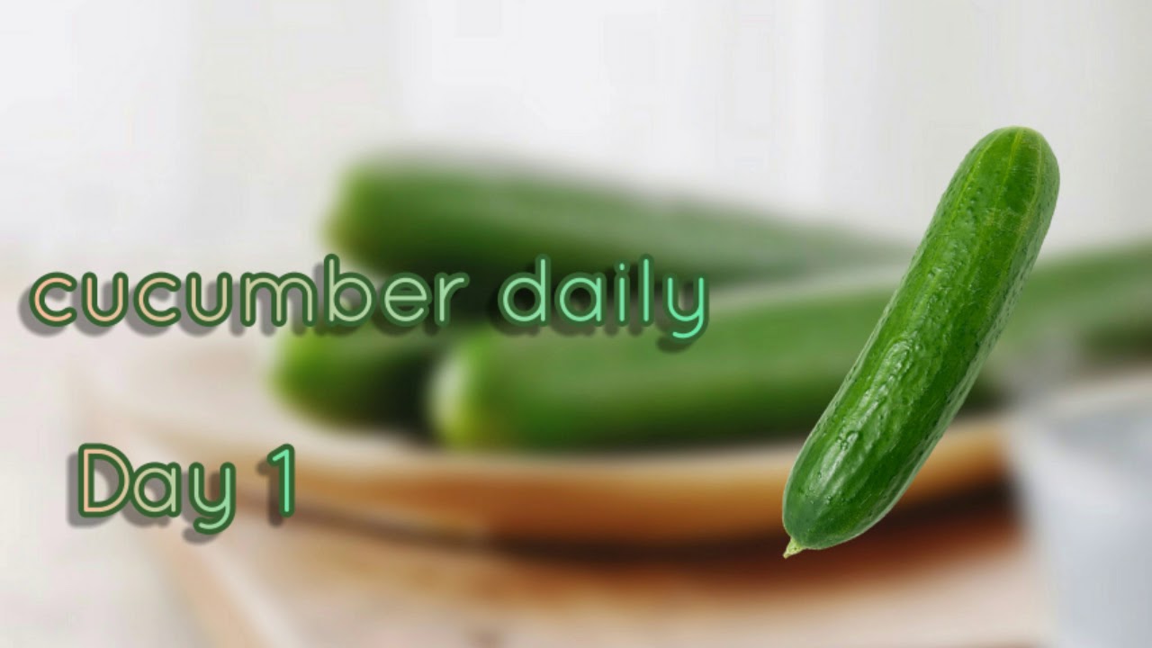 Cucumber Daily Day 1 YouTube