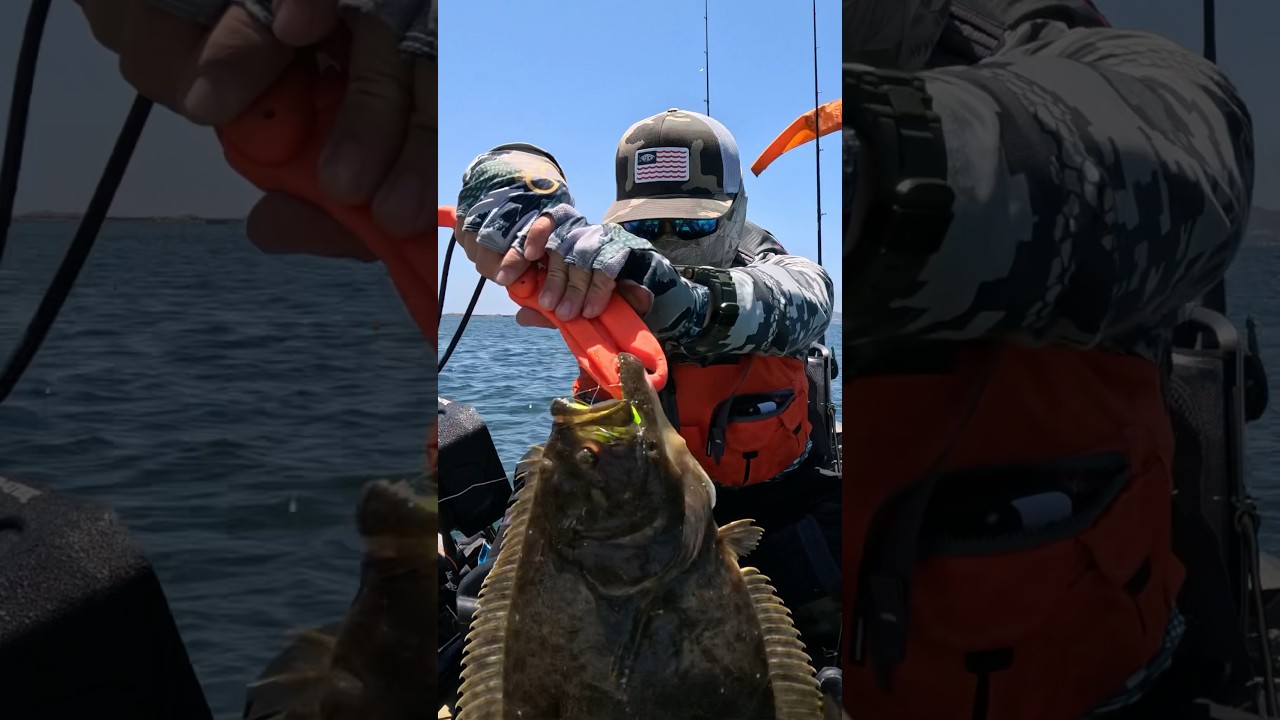 San Diego Bay Halibut ,first legal 2024 