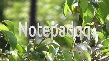 How to install notepadqq on Ubuntu 20.04