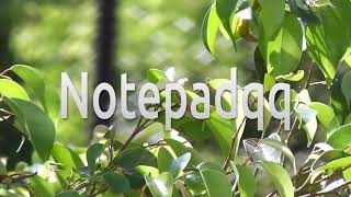 How to install notepadqq on Ubuntu 20.04