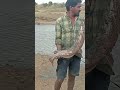 //🐬amazing fishing short🐬 மீன் பிடிக்கலாமா 🐬//