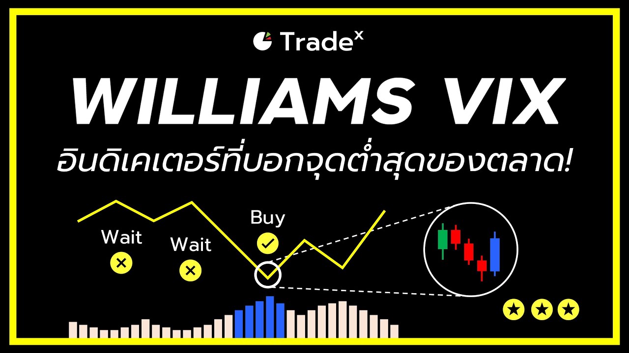 อินดิเคเตอร์นี้ บอกจุดต่ำสุดของตลาด! (แม่นมาก) | VIX Index | TradeX
