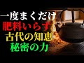 これを一度撒けば、もう肥料を買う必要はありません — 古代の秘密 | ガーデニング | 栽培 | 雑草対策