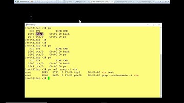 Practice Lab Session - 1 (Process Management) in Linux