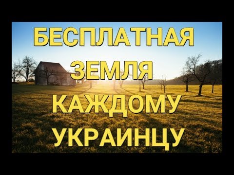 Каждый украинец может получить бесплатную землю. Инструкция.