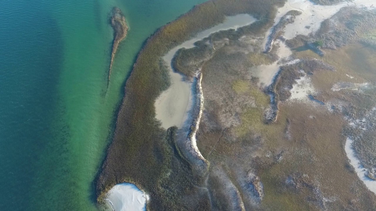 The Masonboro Island Reserve - YouTube