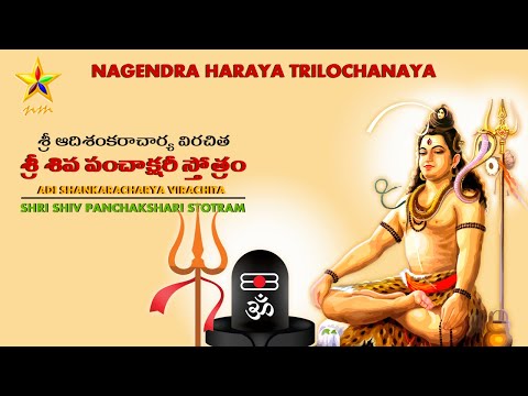 SHIVA PANCHAKSHARI  STOTHRAM | NAGENDRA HARAYA TRILOCHANAYA | ADI SHANKARACHARYA