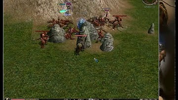 metin2 NL hacker seskes