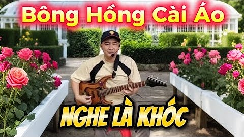 Bông Hồng Cài Áo. Phát Tài Vừa Đàn Vừa Hát Nghe Rồi Sẽ Khóc Vì Quá Hay Quá Ý Nghĩa 😭