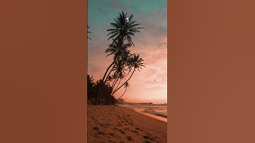 Choose a beach view. #2020 #nostalgia #aesthetic #vibes #chooseone #beach #foryou #relaxing #fyp