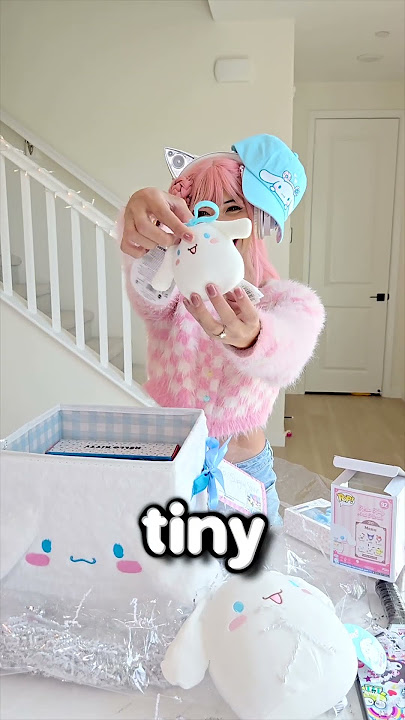 Cinnamoroll but he came to visit! #cinnamoroll #sanrio #shorts