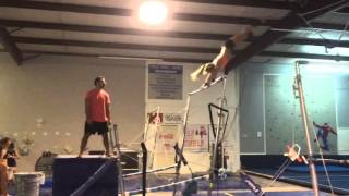 McKenzie Carpenter Bars   Free Hip, Tkatchev