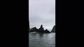 Cruising to Chasovoi island, Kamchatka, Russia