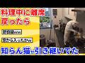 【2ch動物スレ】料理中に離席→戻ったら侵入した猫が料理してたwwwww