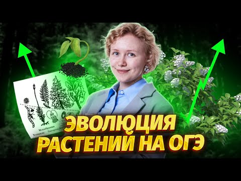 Эволюция растений для ОГЭ по биологии | Умскул