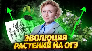 Эволюция растений для ОГЭ по биологии | Умскул