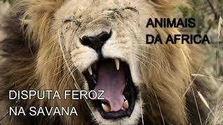 ANIMAIS DA SAVANA AFRICANA 