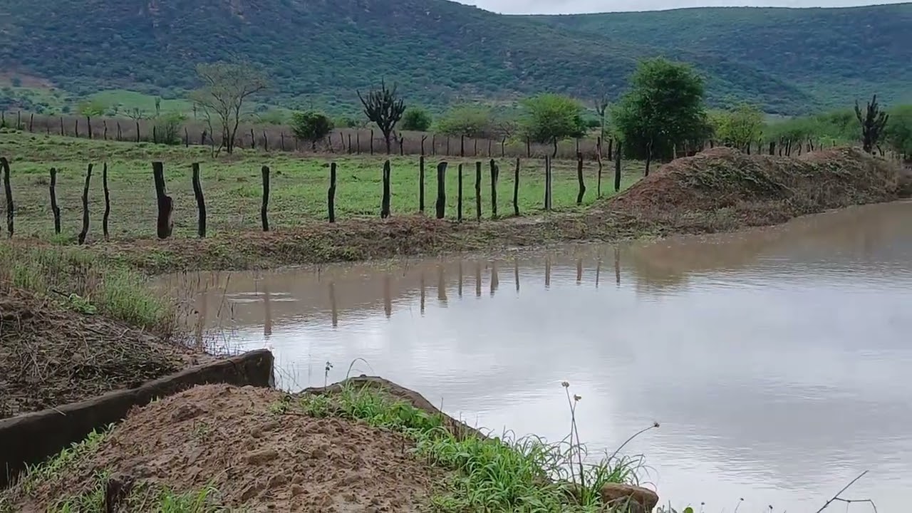 A chuva chegou no Sertão 🌧🌧