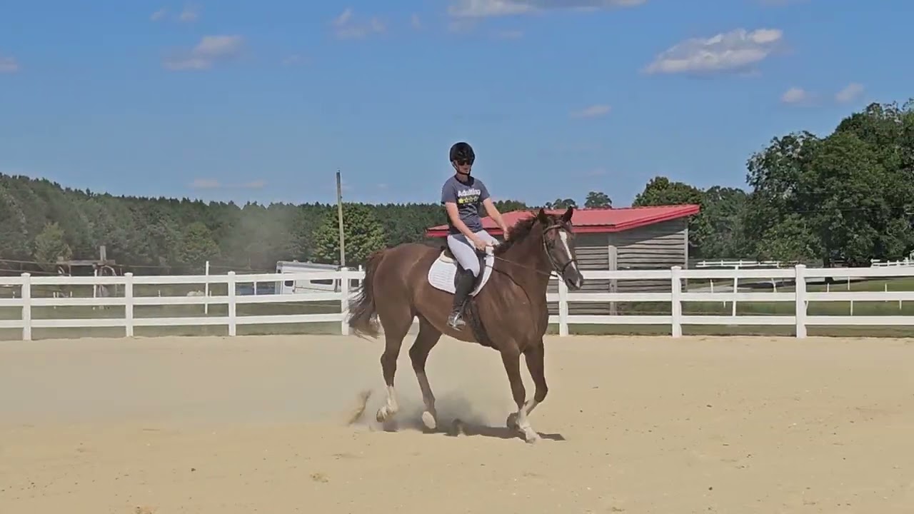 Show #4 2025 mac Collins and artie youth equitation pattern 
