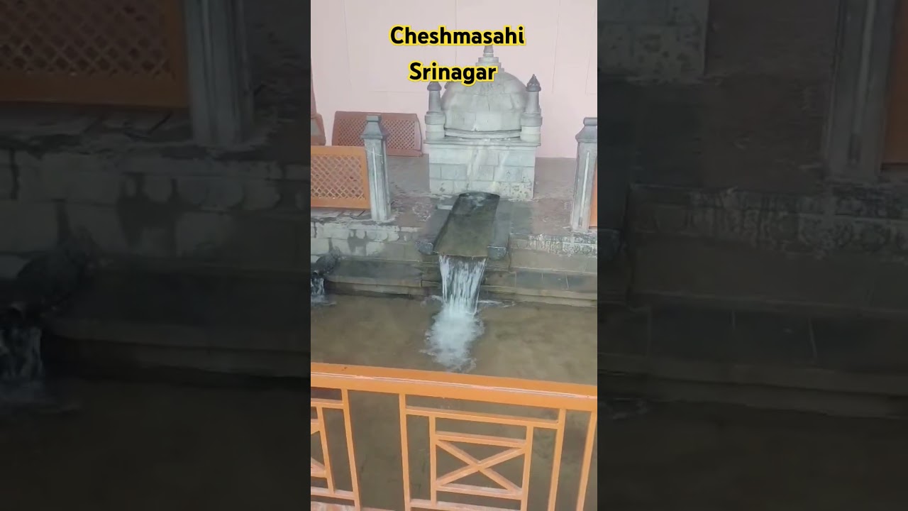 cheshmasahi 
