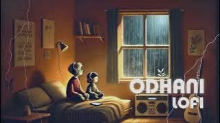 Odhani Odh Ke Nachu Lofi Song | Tere Naam | Udit N |Alka Y | Sameer @tseries