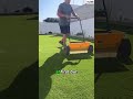 Perfect Green Lawn All Year… Without Mowing 🤯