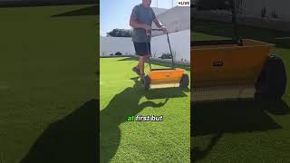 Perfect Green Lawn All Year… Without Mowing 🤯