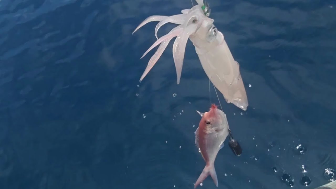 Mancing Pakai Teknik Ini & Di Spot Ini Dijamin 99% Dapat Ikan‼️Spot Enter2 Laut Jepara