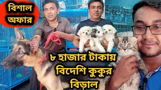 Katabon animal market in bangladesh|German Shepherd| Lhasa Apso| Persian Cat| Dog and cat price 2023