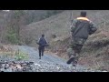 ORDU DOMUZ AVI / wild boar hunting