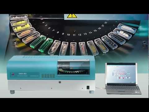 dma80
