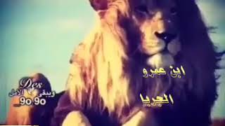 الشاعر سطم العمر الجربا    أسد الشعراء