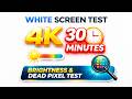 WHITE SCREEN TEST — 30 Minutes 4K UHD | Brightness & Pixel Accuracy
