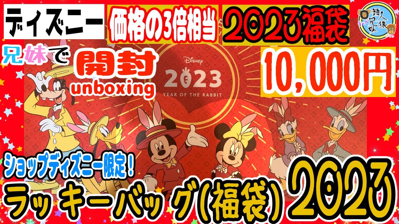 福袋23 開封unboxing ディズニーラッキーバッグ 福袋 23 10 000円 ショップディズニー限定 兄妹で開封してみた 23福袋 Youtube