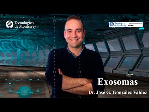 Vídeo: Aislamiento Directo Y Caracterización De Exosomas Circulantes De Muestras Biológicas Utilizando Nanocables Magnéticos