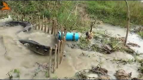 Python trap using live chicken #Shorts