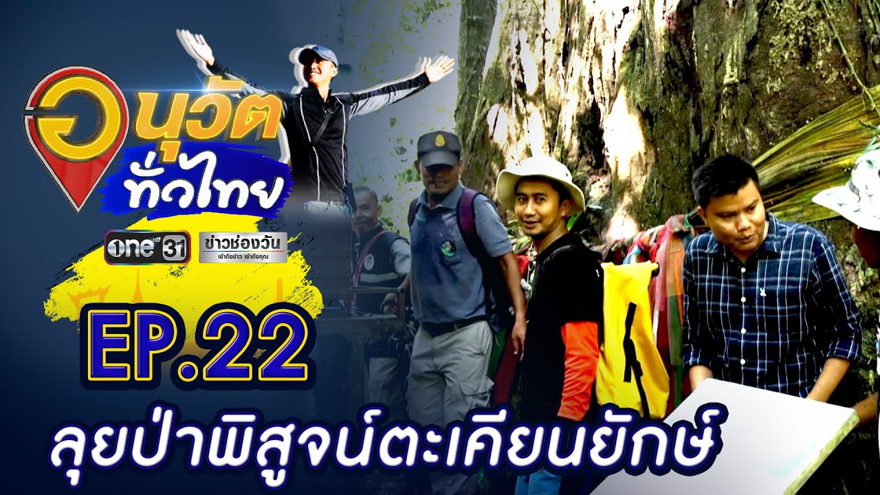 ลุยป่าพิสูจน์ตะเคียนยักษ์ ทับลาน | อนุวัตทั่วไทย | EP 22 | ข่าวช่องวัน | one31