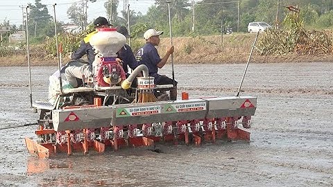 Tái cơ cấu nông nghiệp góp phần nâng cao giá trị gia tăng và phát triển bền vững