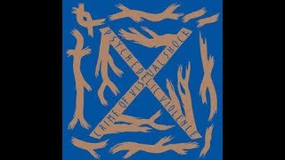 あこ 新品●ブルーブラッド ジャケット S●BL-1011 チェダー Amazon.co.jp: BLUE BLOOD - X: ミュージック