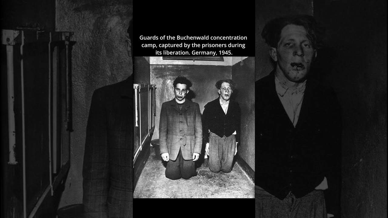 Buchenwald Guards Captured by Prisoners | 1945 Liberation Moment 