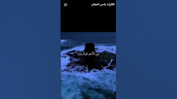تلاوة نجدية من سورة الانعام للقارئ ياسر العجلان❤️‍🩹 #اكسبلور #راحة_نفسية #المصحف #ارح_سمعك #لايك