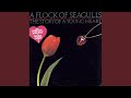 A Flock Of Seagulls - The Story of a Young Heart