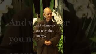 Grow that Tiny Seed of Mindfulness | Thich Nhat Hanh | #shorts