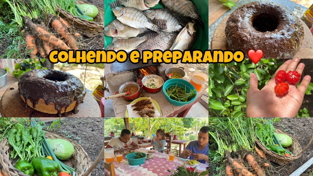  Vivendo uma vida simples ao lado da natureza / Colheita na horta para o almoço e bolo de cenoura 