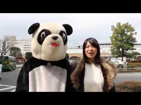 【とこみん】ラッキーパンダとみさきが行く！モンステラ整体院ver.