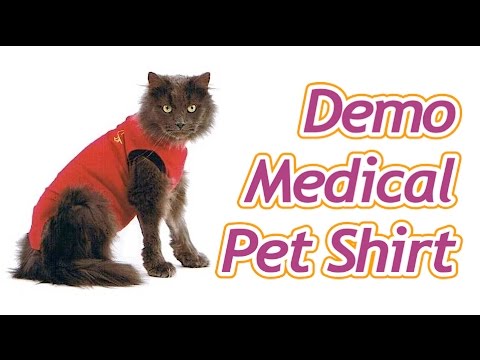 Pet Health,pet health insurance,aspca pet health insurance,fuzzy pet health,pet health pharmacy